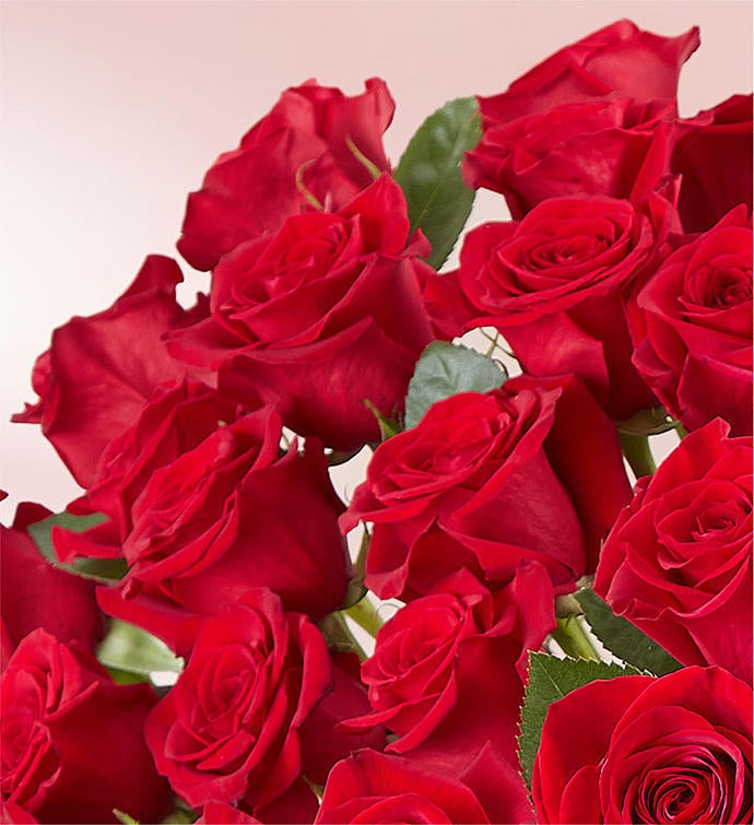 100 Premium Long Stem Red Roses | 1800Flowers.Com - 163009